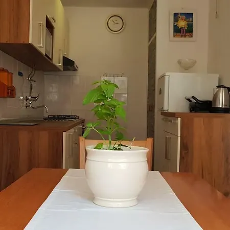 Apartman Ante's House Korčula
